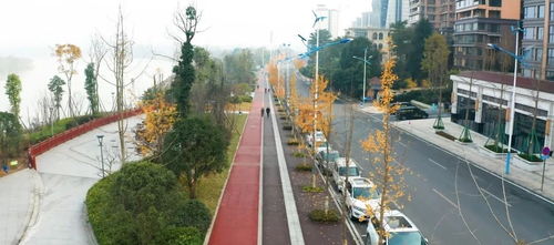 樂(lè)山高新區(qū)36條道路建設(shè)扎實(shí)推進(jìn) 工程管理全面升級(jí)